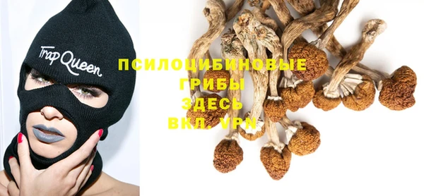 ECSTASY Арсеньев