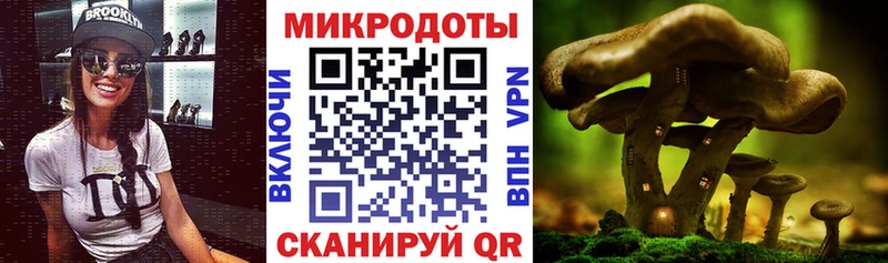 Псилоцибиновые грибы Cubensis  Ельня 
