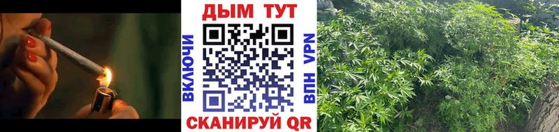 наркотики  Ельня  mega как зайти  Конопля тримм 